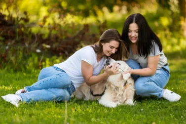 Familia disfrutando en el campo con su mascota