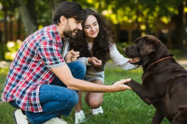 Pareja con su mascota