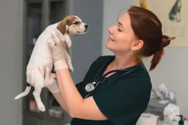 Veterinaria con una mascota